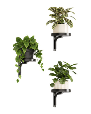 Bamworld Heavy-Duty Metal Wall Mounted Plant Shelves - 3-Pack