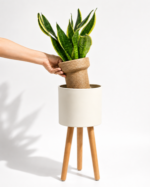 Bamworld 7" Modern Metal Plant Stand with Ash Wood Legs