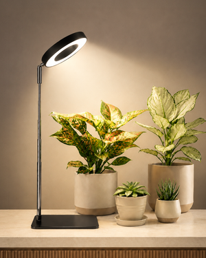 Bamworld Desktop Halo LED Grow Light with Integrated Stand Base