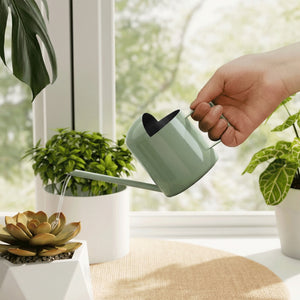 Bamworld 10oz Mini Avocado Green Stainless Steel Watering Can