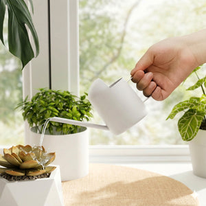 Bamworld 10oz Mini Matte White Stainless Steel Watering Can