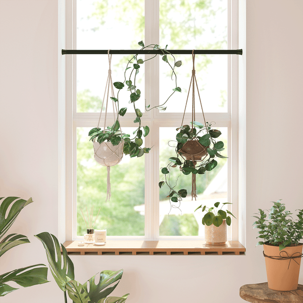 Bamworld 27"-51" Adjustable Window Plant Hanger