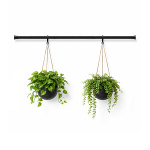 Bamworld 27"-51" Adjustable Window Plant Hanger