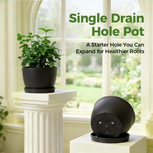 Bamworld 9-Inch Contemporary Matte Black Planter Pot with Matching Saucer