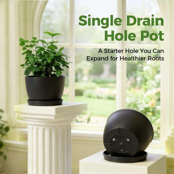 Bamworld 9-Inch Contemporary Matte Black Planter Pot with Matching Saucer