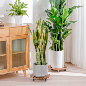 Bamworld 12" Heavy Duty Wooden Plant Caddy with Wheels (2 Pack)