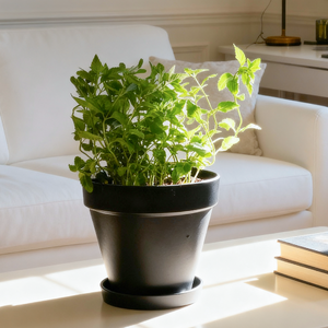 Bamworld 7.8-Inch Matte Black Planter Pot with Matching Saucer