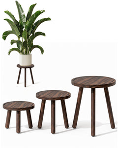 Bamworld 3-Pack Nesting Wooden Plant Stools