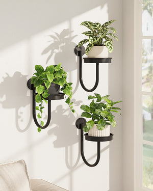Bamworld 6" Heavy Duty Iron Wall Plant Holder (3-Pack)