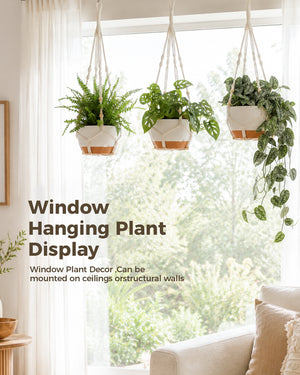 Bamworld 3-Pack Self-Watering Hanging Planters with Macrame and Chains