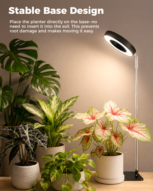 Bamworld Desktop Halo LED Grow Light with Integrated Stand Base