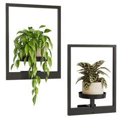 Bamworld 2 pack patented wall mounted metal plant hangers black iron square brackets white background