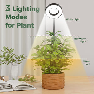 Bamworld Smart 2-in-1 Hybrid Halo LED Grow Light with Dual-Mount System