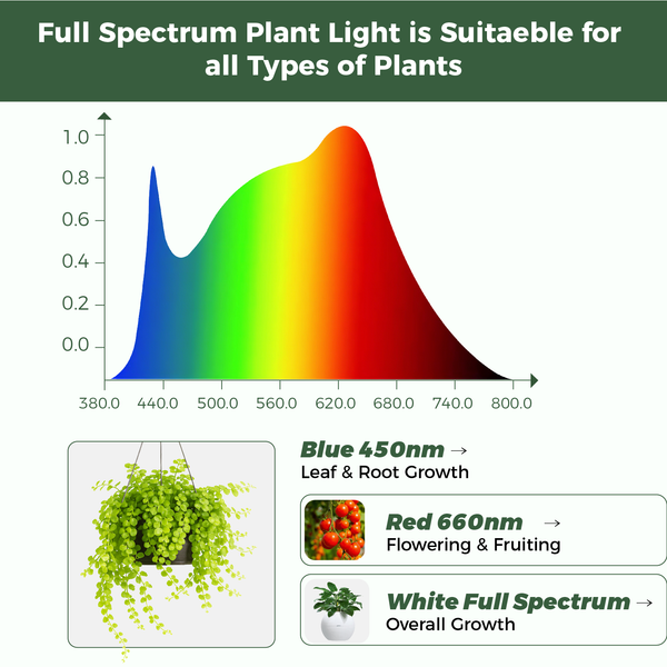 Bamworld Smart Flexible Clamp LED Grow Light with Integrated Timer