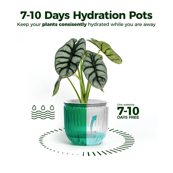 Bamworld 6.5" Self-Watering Hanging Planters with Visible Reservoir (3-Pack) - Emerald Green