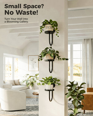 Bamworld 6" Heavy Duty Iron Wall Plant Holder (3-Pack)