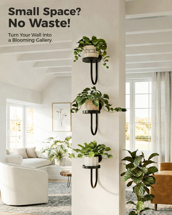 Bamworld 6" Heavy Duty Iron Wall Plant Holder (3-Pack)