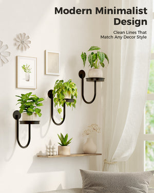 Bamworld 6" Heavy Duty Iron Wall Plant Holder (3-Pack)