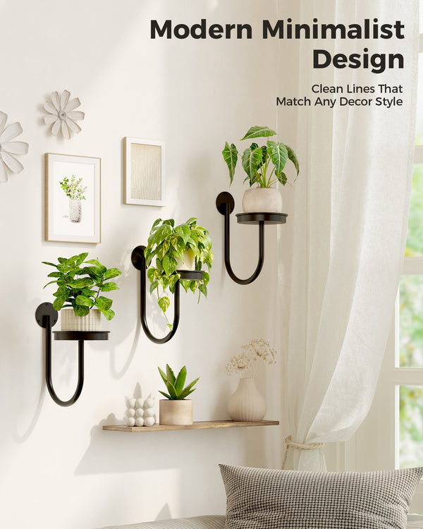 Bamworld 6" Heavy Duty Iron Wall Plant Holder (3-Pack)