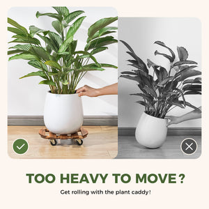 Bamworld 12" Heavy Duty Wooden Plant Caddy with Wheels (2 Pack)
