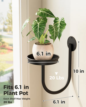 Bamworld 6" Heavy Duty Iron Wall Plant Holder (3-Pack)