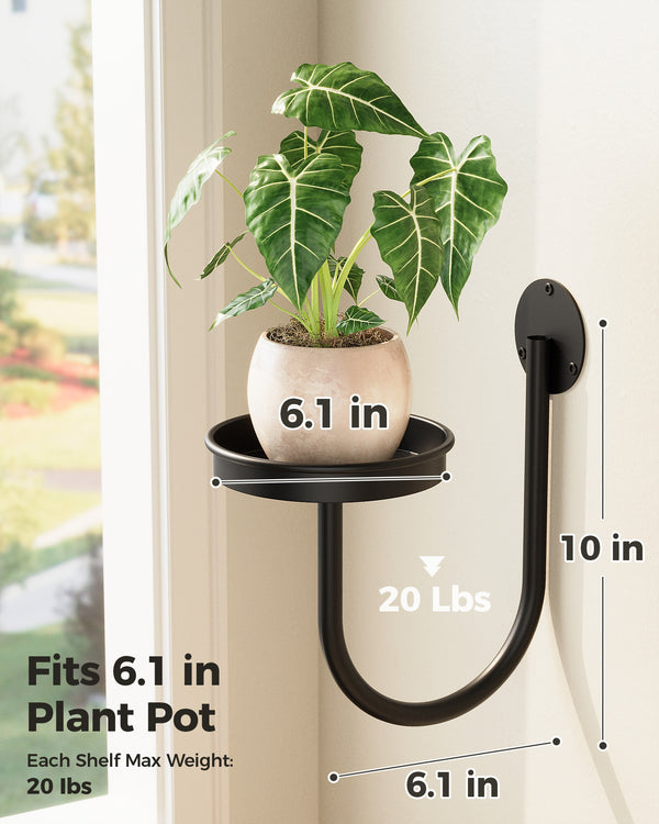 Bamworld 6" Heavy Duty Iron Wall Plant Holder (3-Pack)