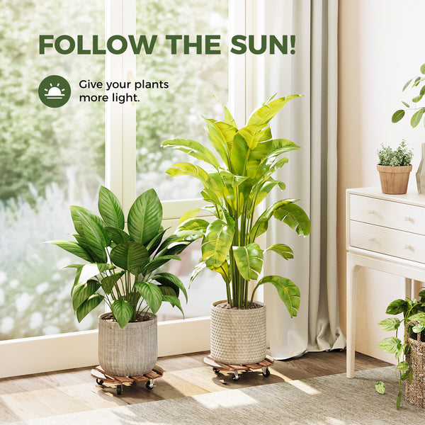 Bamworld rolling plant rollers moving heavy planter in a bohemian style patio gardening setup