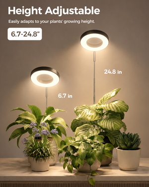 Bamworld Desktop Halo LED Grow Light with Integrated Stand Base